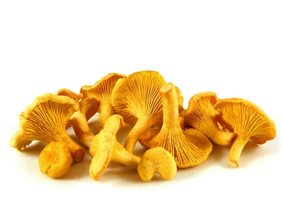 girolles_1341