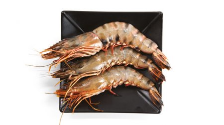 crevettes-grises_163600