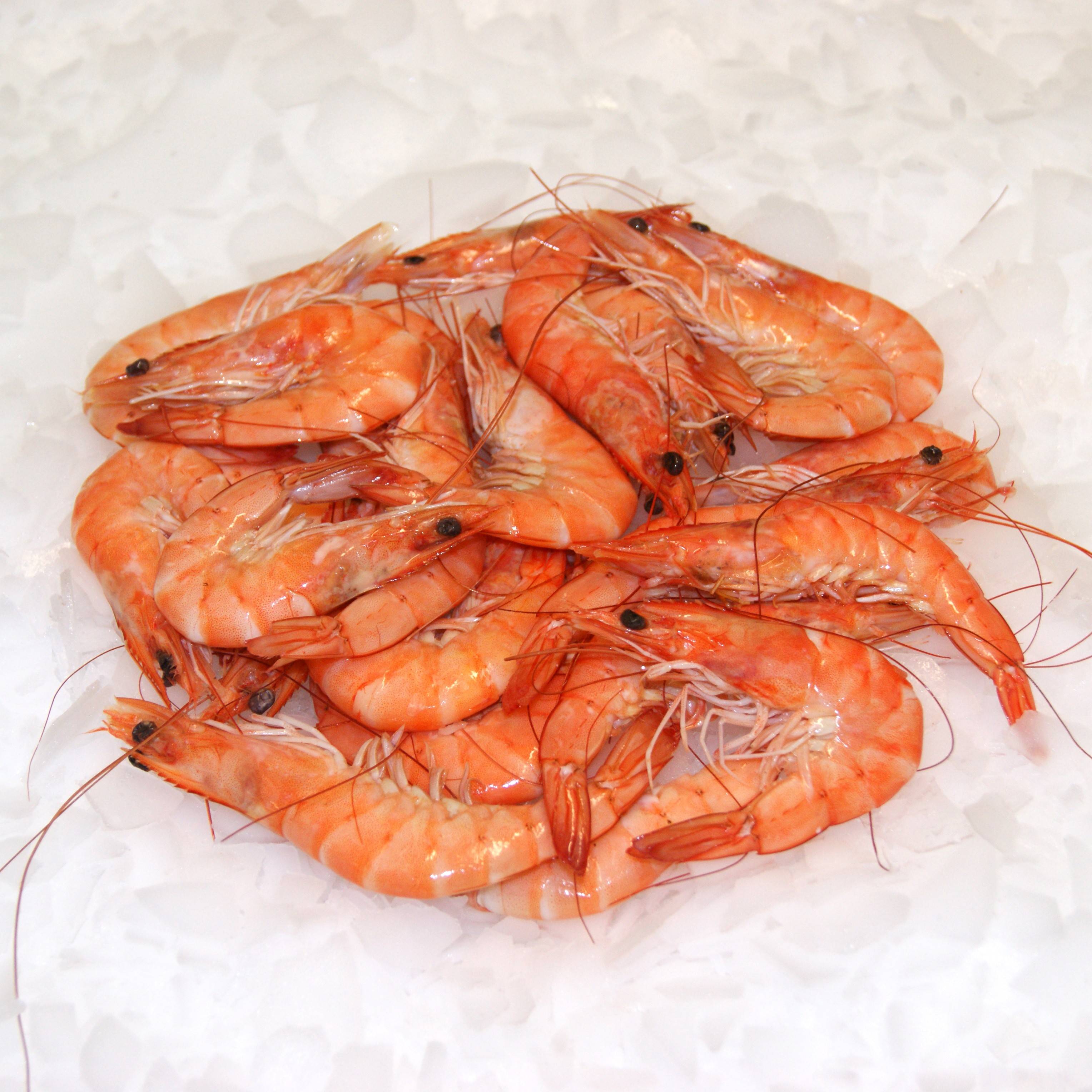 Crevette Rose Cuite 40/60 le lot de 2kgs - poisson frais en ligne